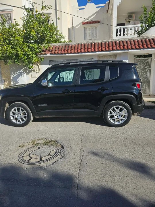 Jeep RENEGADE - Photo 4