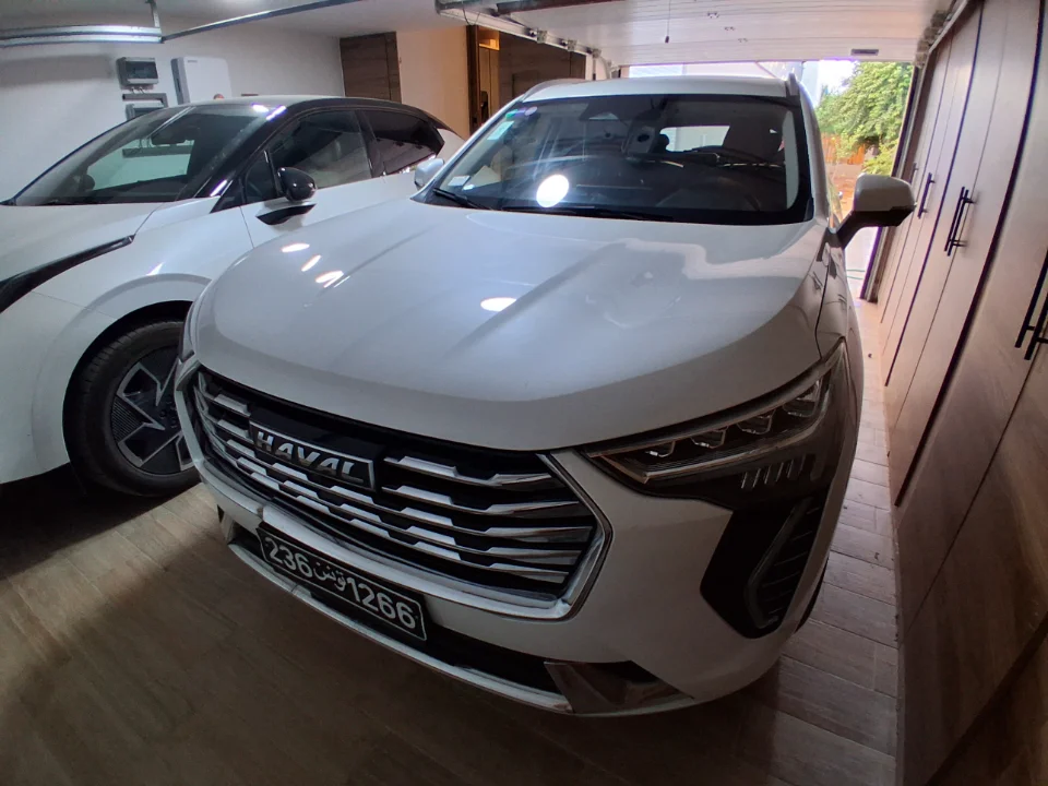 Haval Jolion - Photo 5