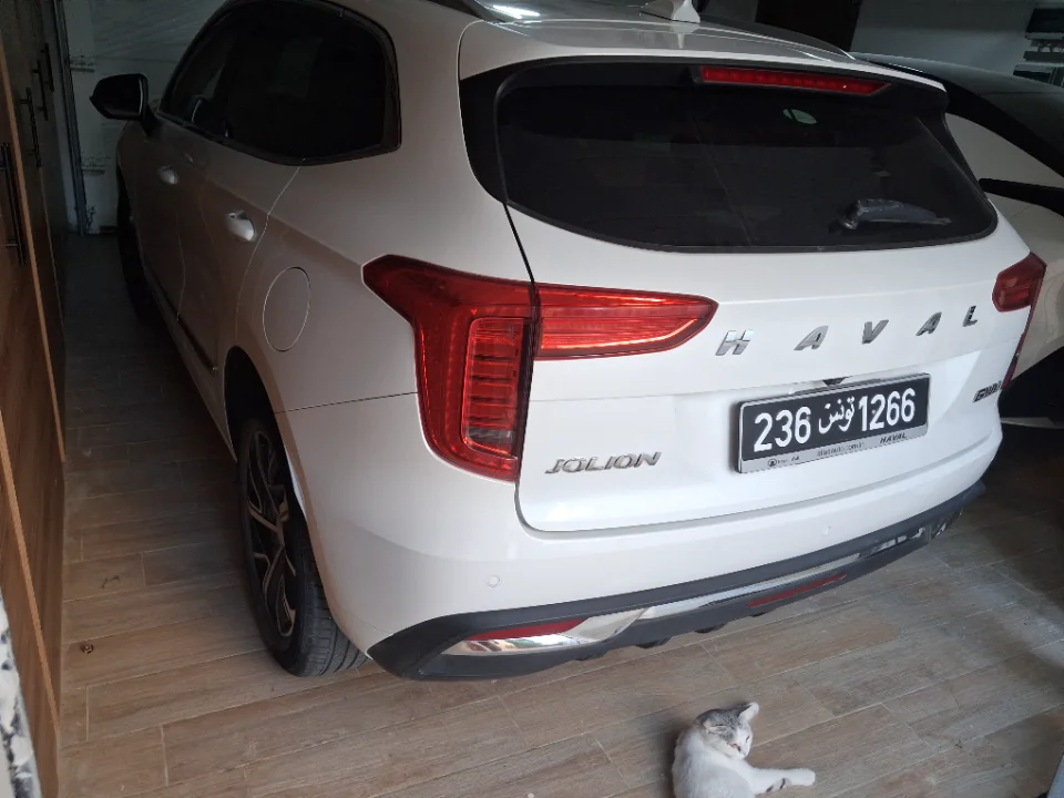 Haval Jolion - Photo 3