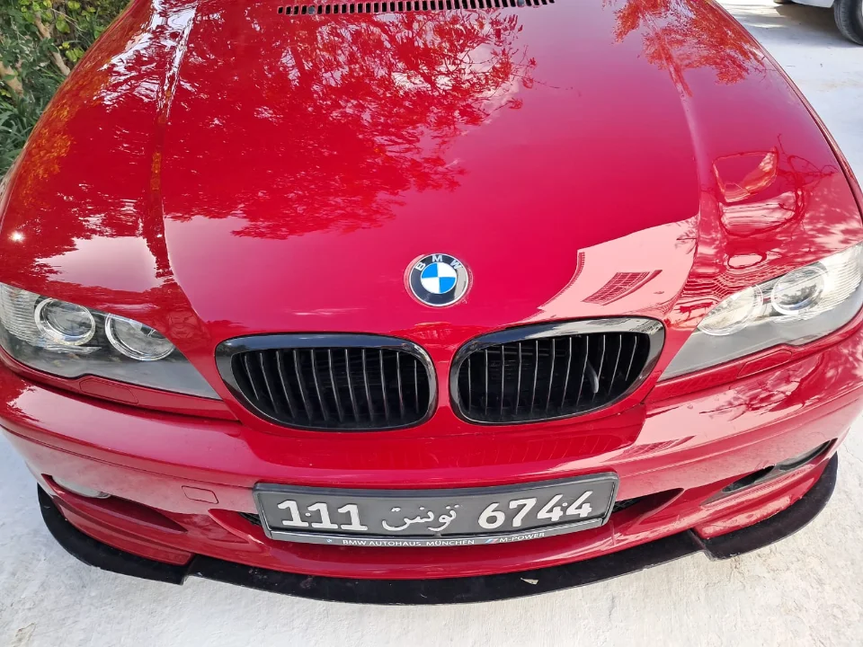 Bmw 318 - Photo 9