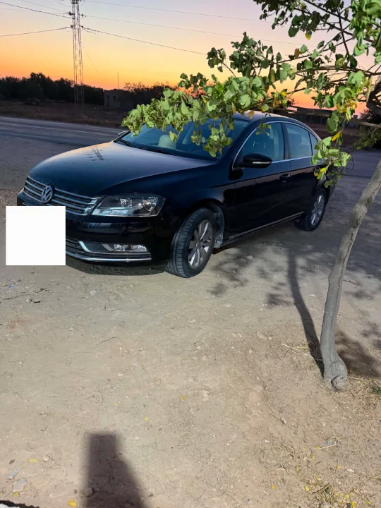 Volkswagen Passat 2011