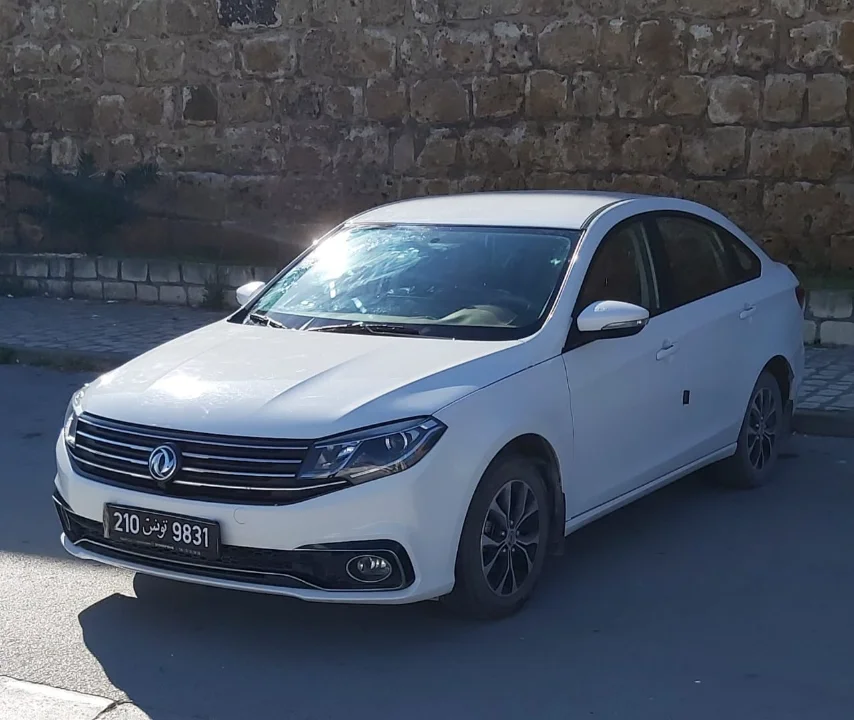 Dongfeng S50 - Photo 10