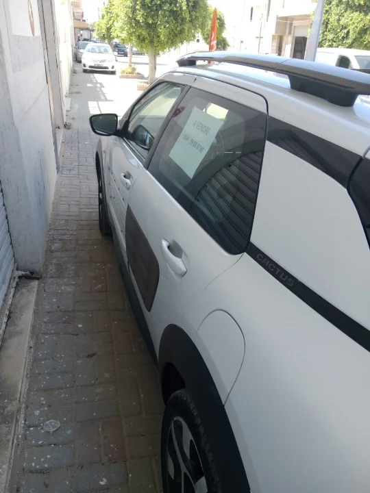 Citroen C4 CACTUS - Photo 5