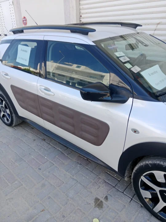 Citroen C4 CACTUS - Photo 4