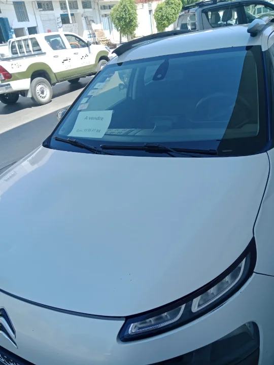 Citroen C4 CACTUS - Photo 3