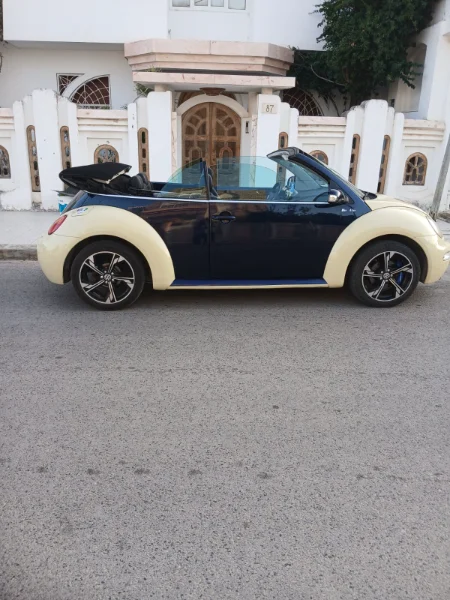 Volkswagen New Beetle - Photo 11