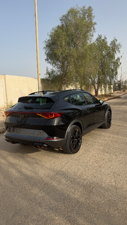 CUPRA Cupra Formentor - Photo 8
