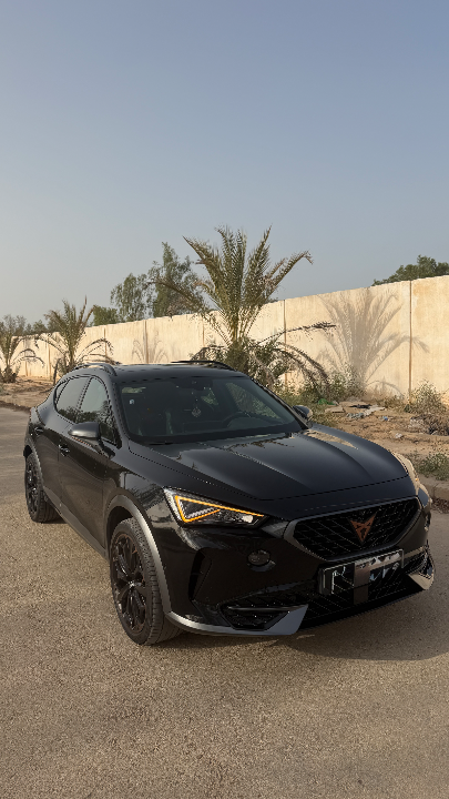 CUPRA Cupra Formentor - Photo 6