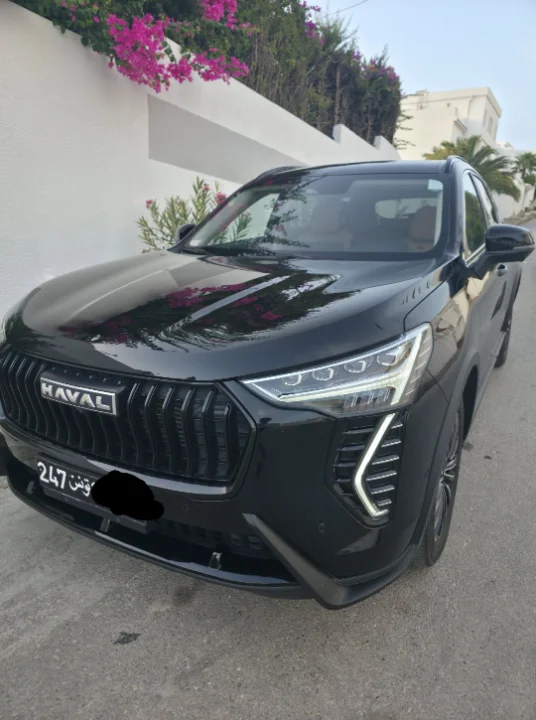 Haval Jolion - Photo 5