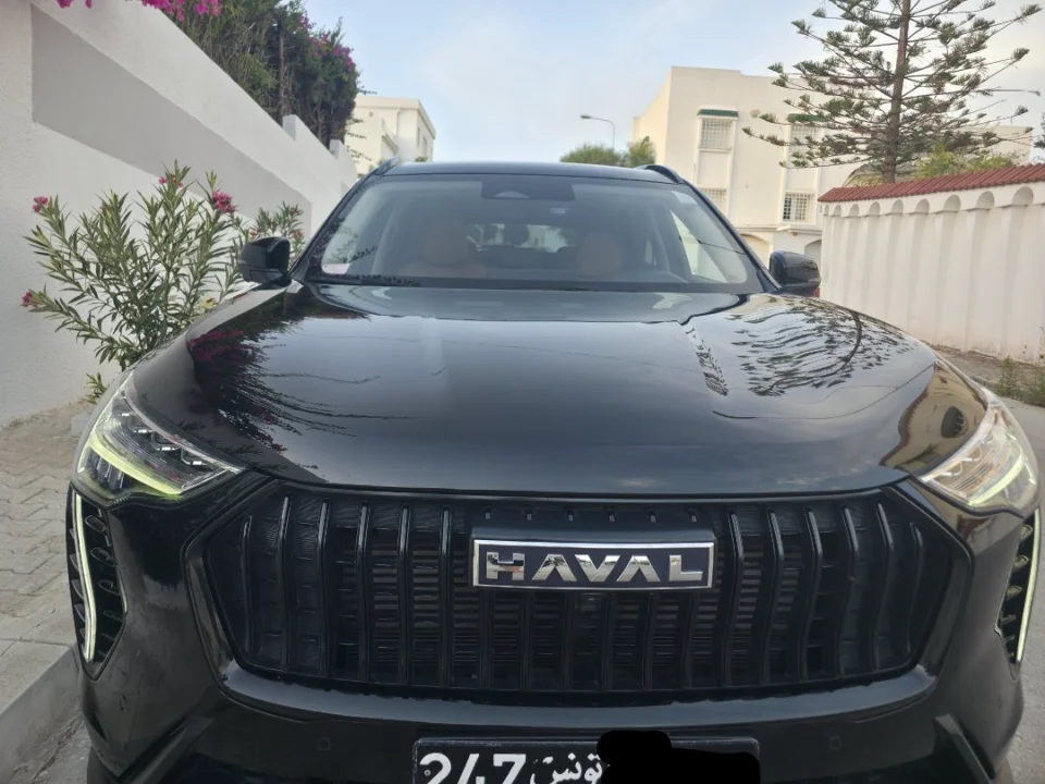 Haval Jolion - Photo 4