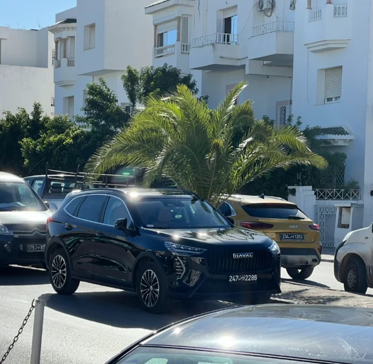 Haval Jolion - Photo 3