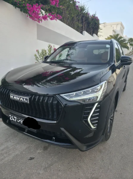 Haval Jolion - Photo 5