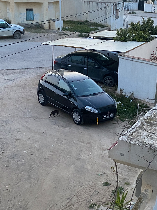 Fiat GRANDE PUNTO 2010