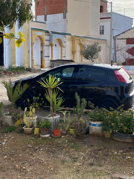 Fiat GRANDE PUNTO - Photo 8