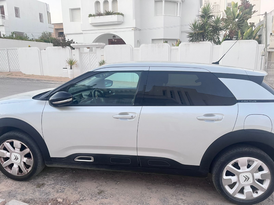 Citroen C4 CACTUS - Photo 2