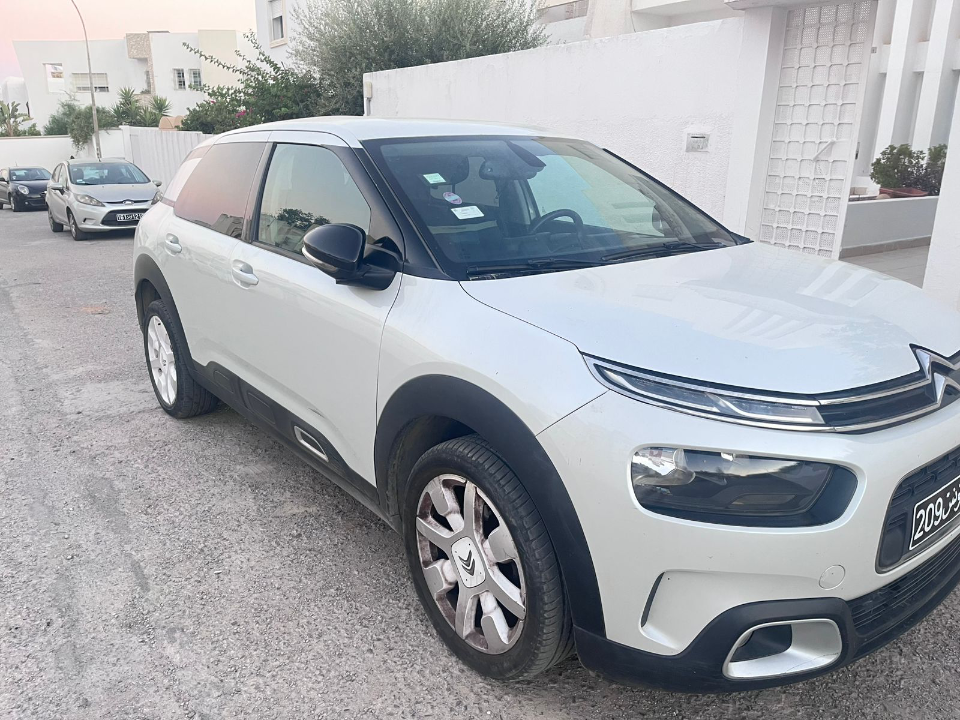 Citroen C4 CACTUS 2019