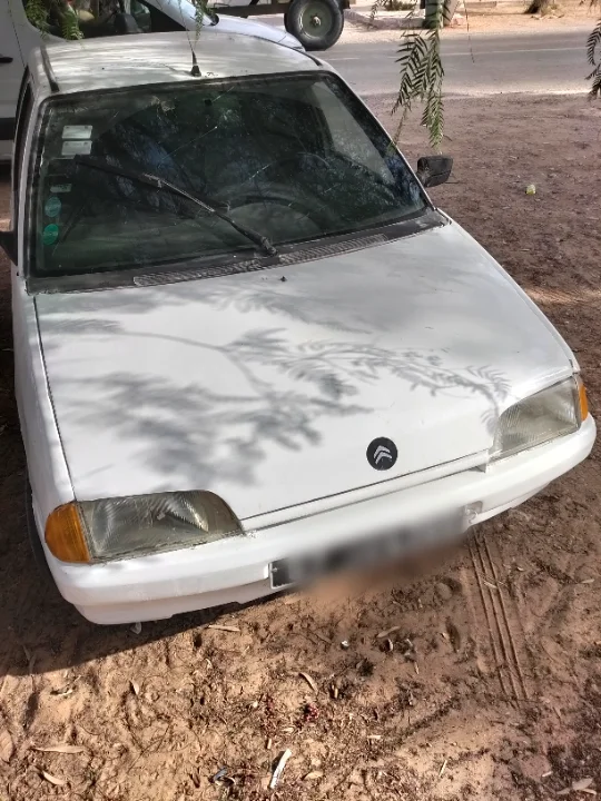 Citroen AX 1993