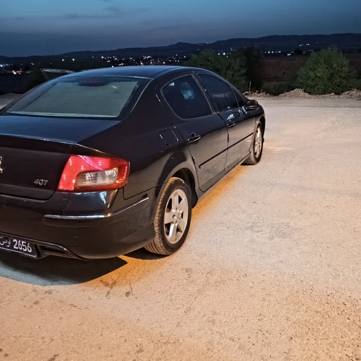 Peugeot 407 - Photo 8