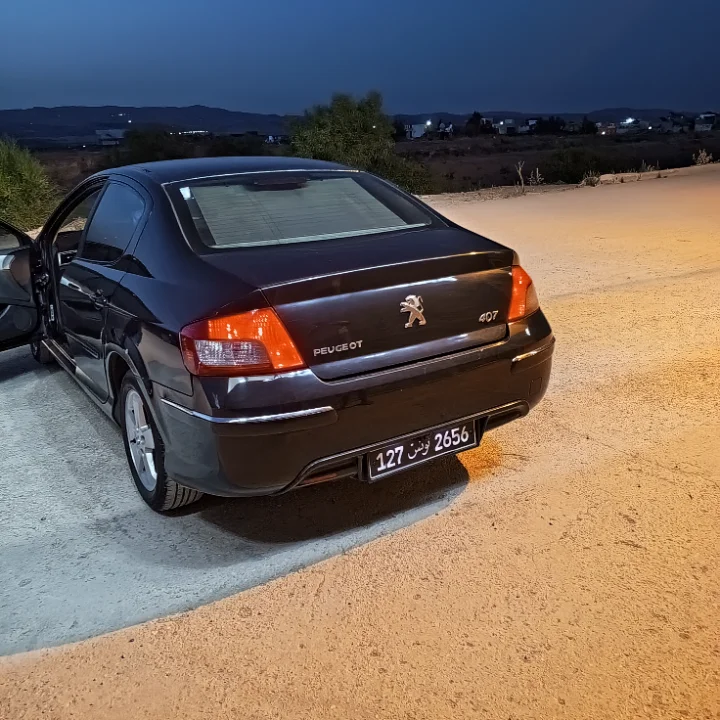 Peugeot 407 - Photo 7