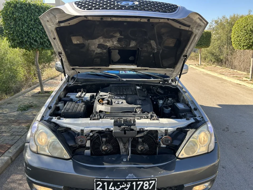 Hyundai TERRACAN - Photo 7