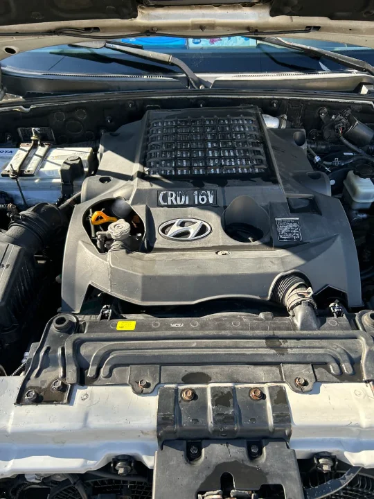 Hyundai TERRACAN - Photo 5