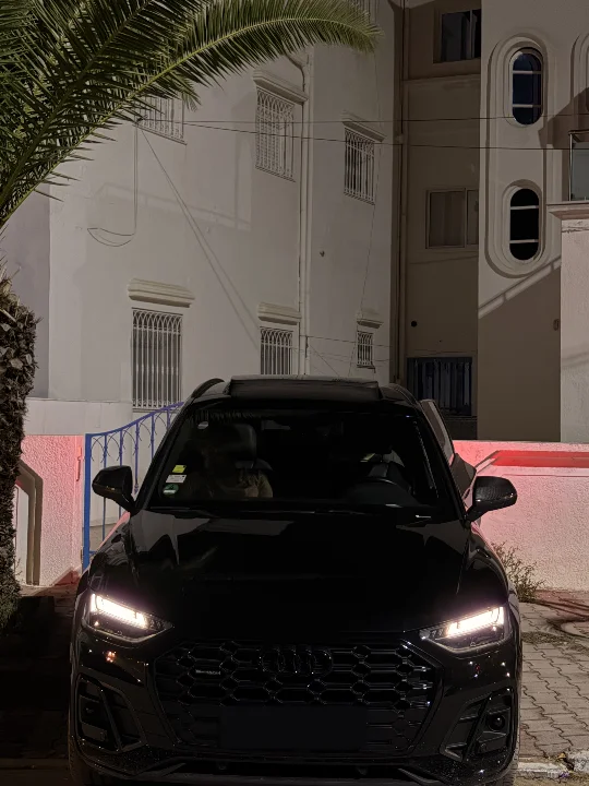 Audi Q5 - Photo 7