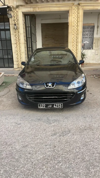 Peugeot 407 - Photo 2