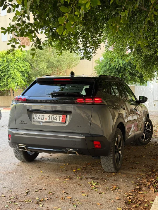 Peugeot 2008 - Photo 2