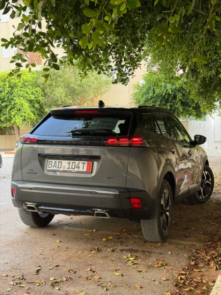 Peugeot 2008 - Photo 2