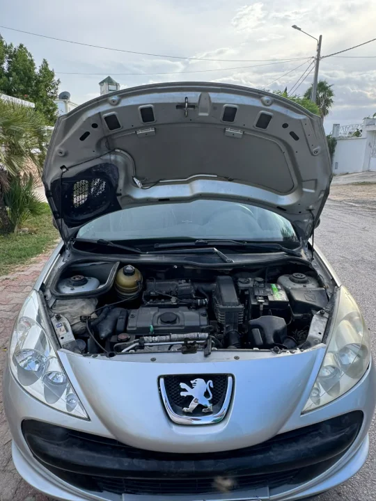 Peugeot 206 - Photo 2