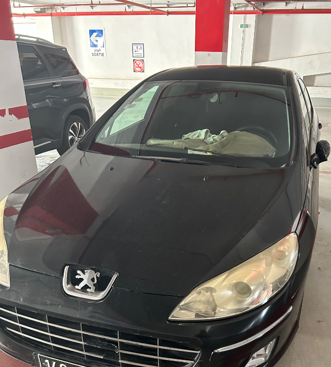 Peugeot 407 2009