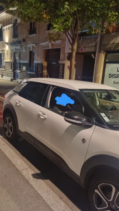 Citroen C4 CACTUS - Photo 2