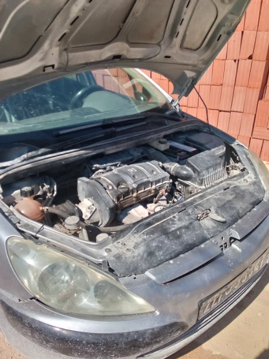 Peugeot 307 - Photo 3