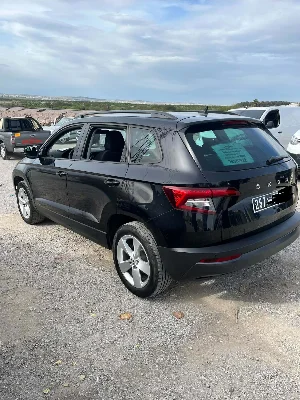 Skoda Karoq - Photo 6