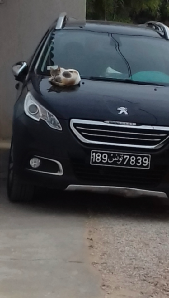 Peugeot 2008 2016