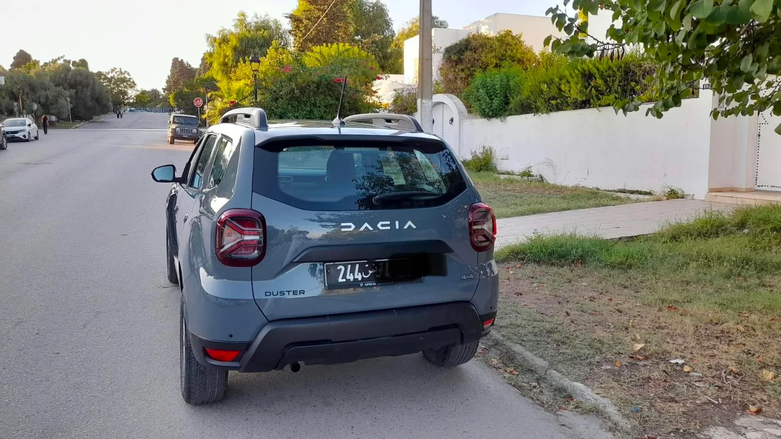 Dacia DUSTER 2024