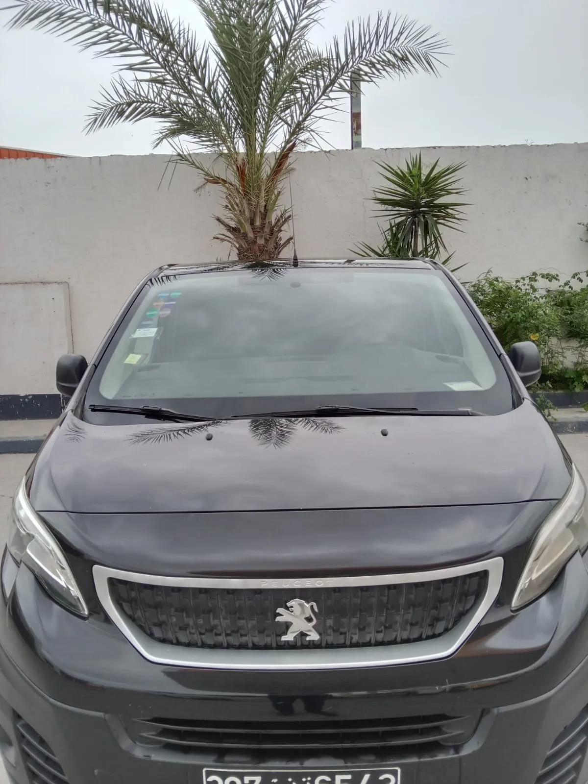 Peugeot Expert 2018