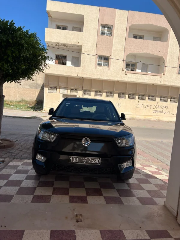 تيفولي للبيع