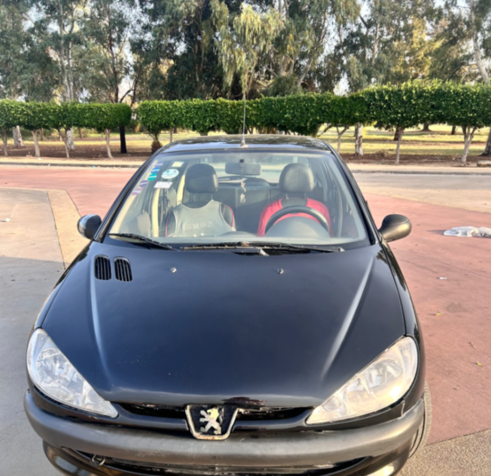Peugeot 206 2010