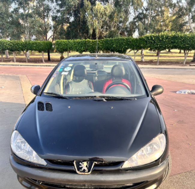 Peugeot 206 2010 Essence