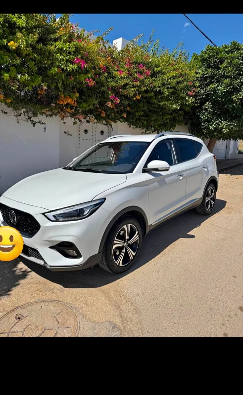 MG Mg zs 2019 Essence