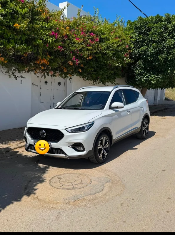MG MG ZS - Photo 6