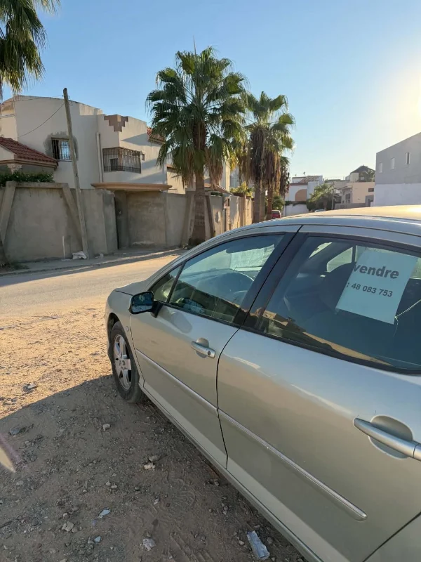 Peugeot 407 - Photo 6