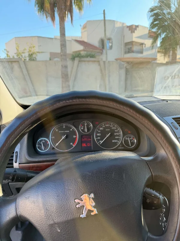 Peugeot 407 - Photo 2