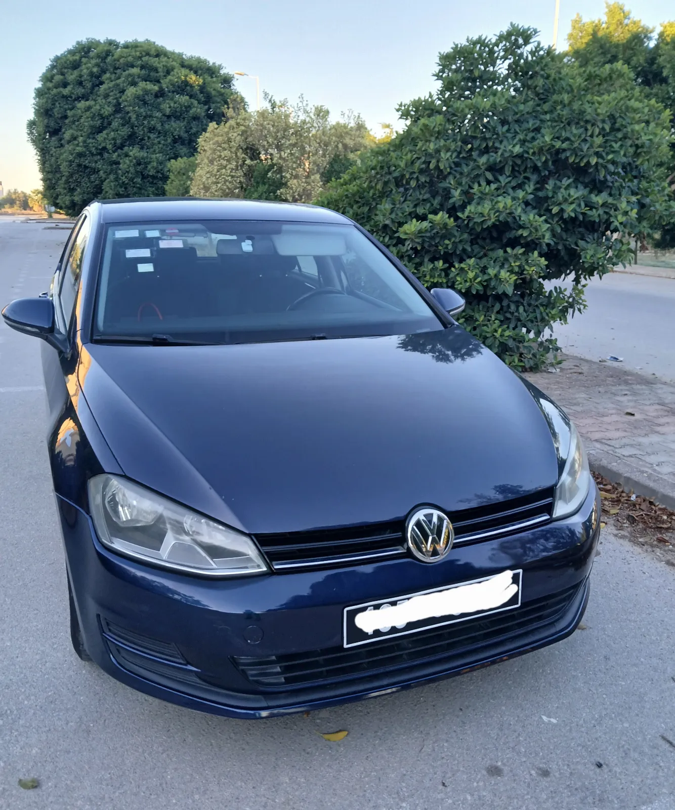 Volkswagen Golf 7 2013