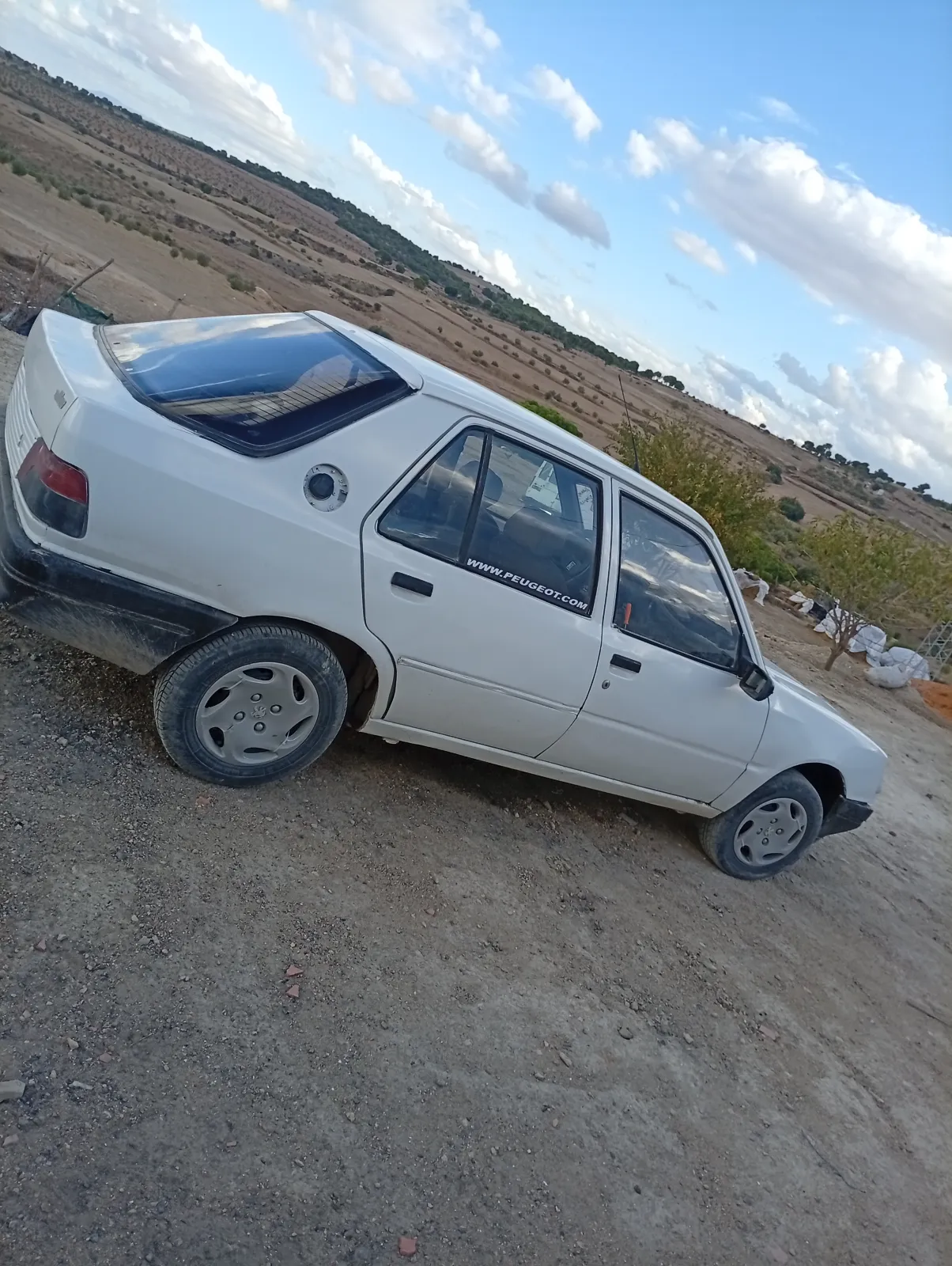 Peugeot 309 1990