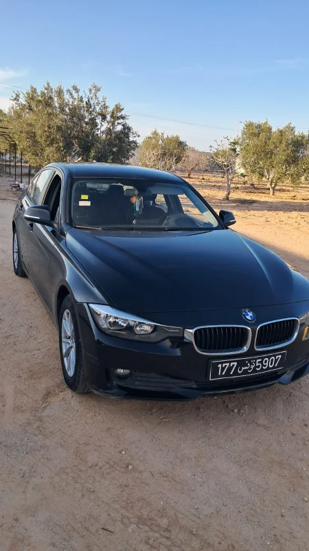 Bmw 316 2014 Essence