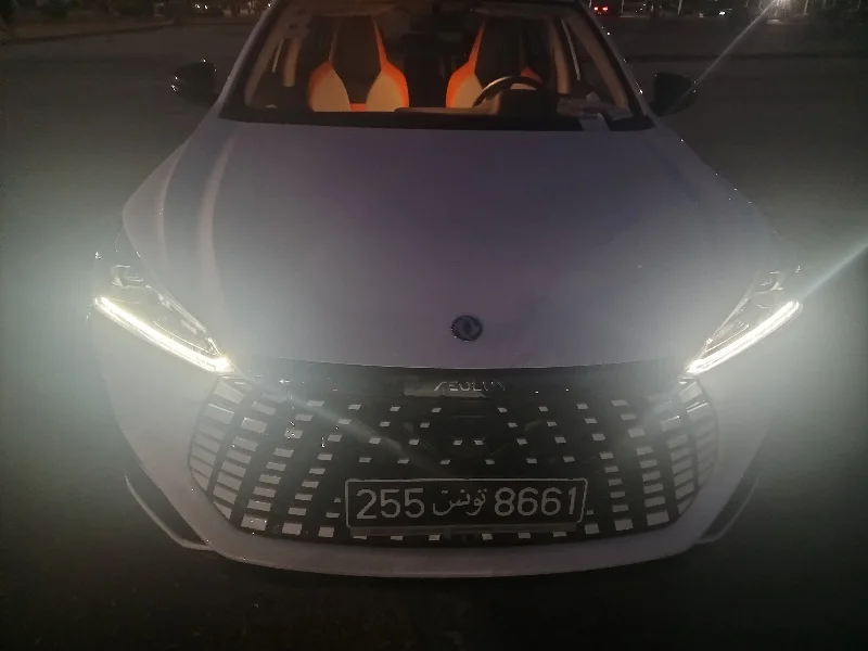 Dongfeng Shine  2025 Essence