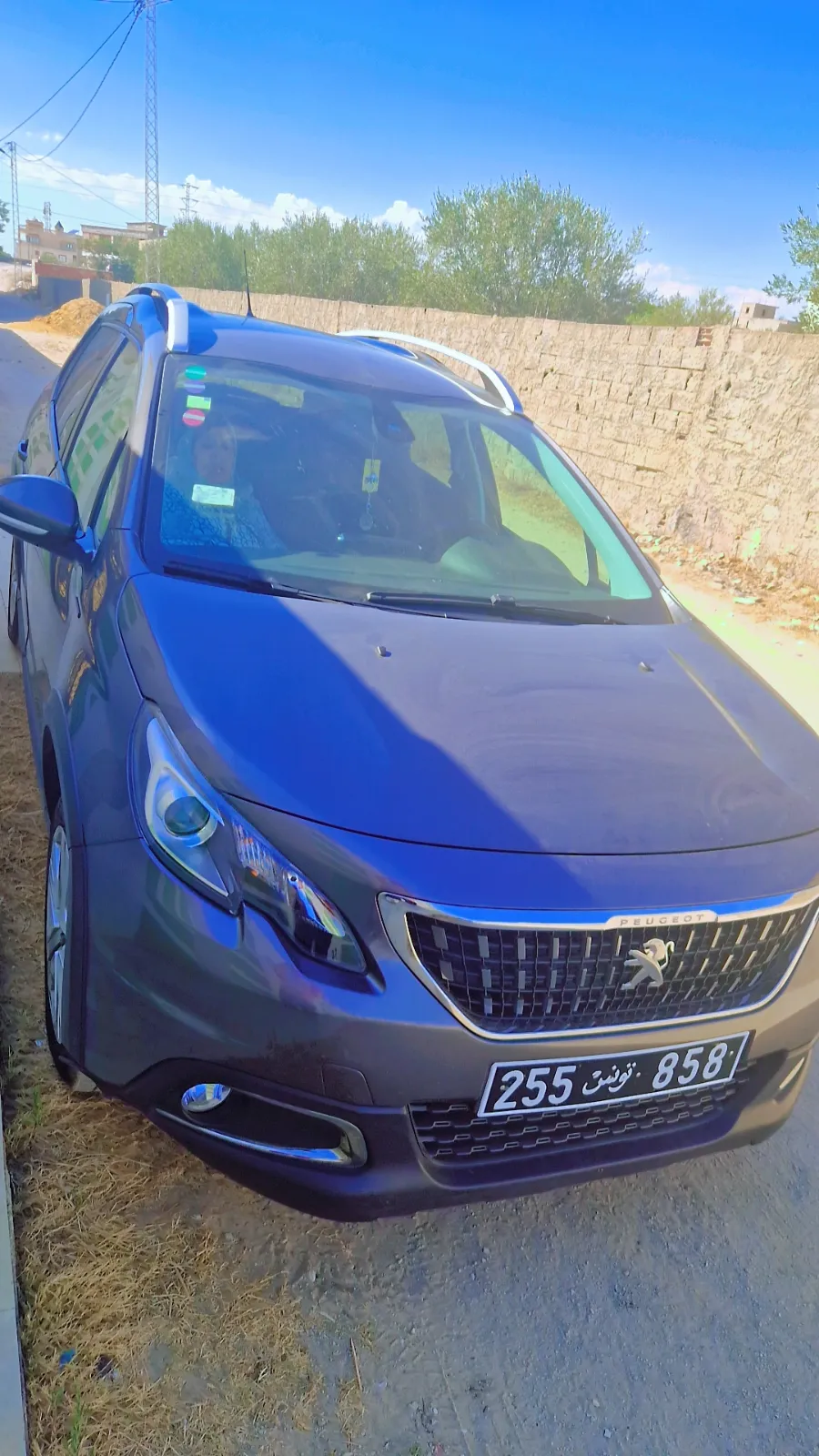 Peugeot 2008 2019