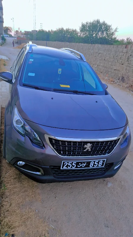 Peugeot 2008 - Photo 8